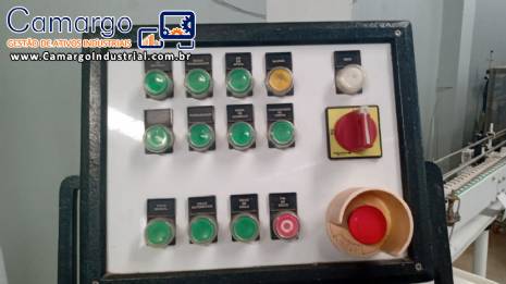 Envasadora linear com rosqueadora inox 12 bicos frasco bombonas galão Narita